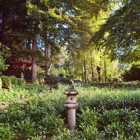 Hotel Monte Verità 3*