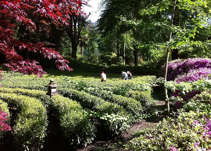Monte Verità Hotel Ascona