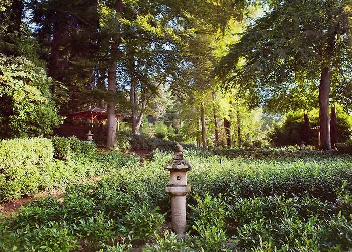 Hotel Monte Verità 3*