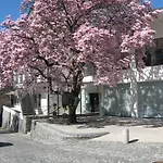 Monte Verita 3*