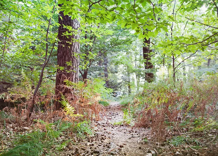 Monte Verita ホテル